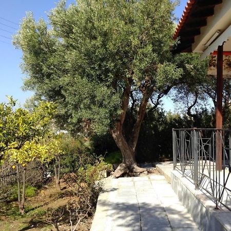 Gerakina Beach Cottage Psakoudia Exterior photo