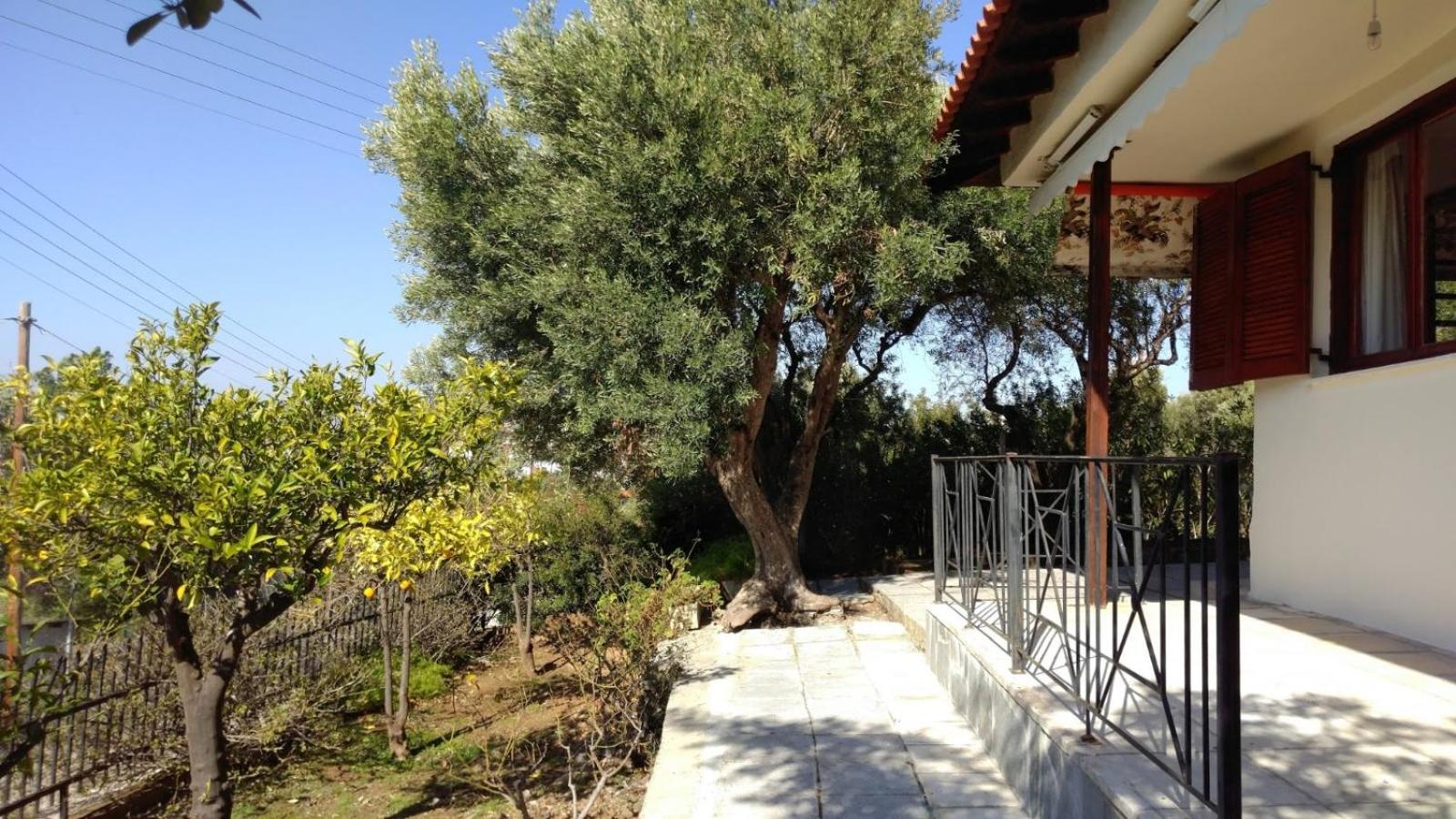 Gerakina Beach Cottage Psakoudia Exterior photo